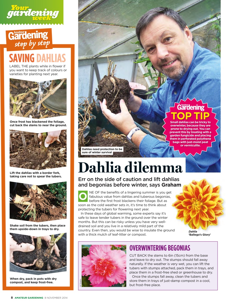 Amateur Gardening Preview Pages