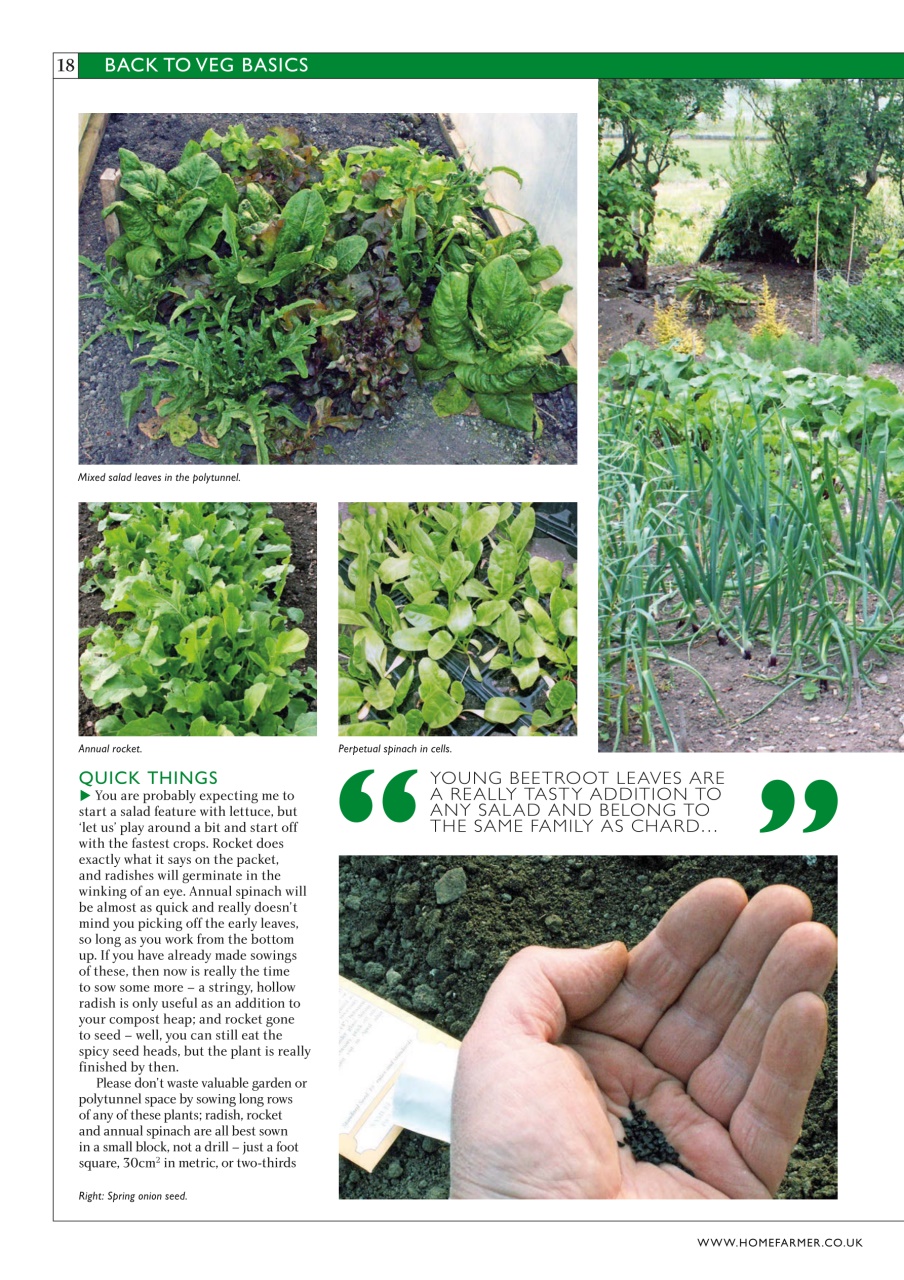 Home Farmer Magazine Preview Pages