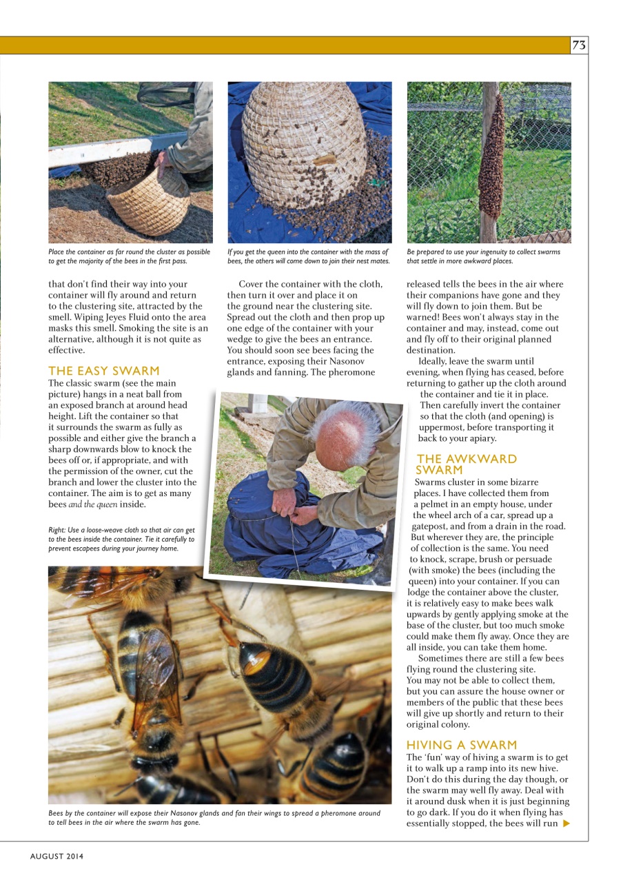 Home Farmer Magazine Preview Pages