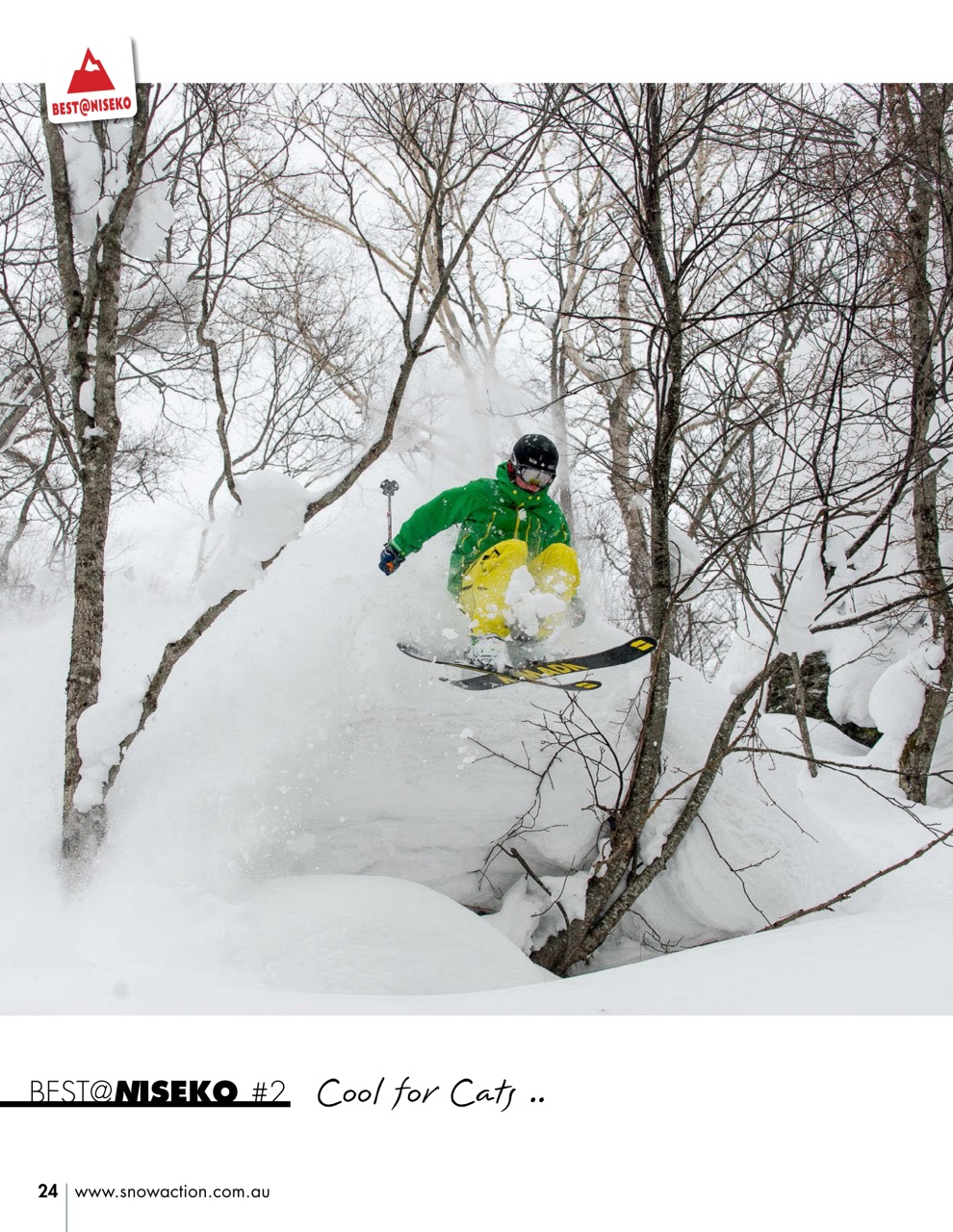 Snow Action Preview Pages