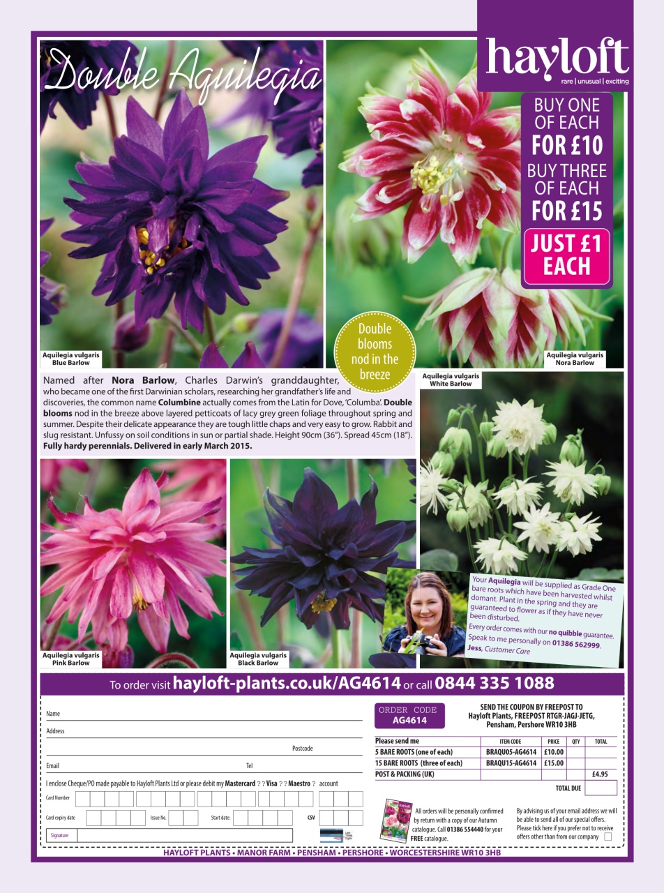 Amateur Gardening Preview Pages