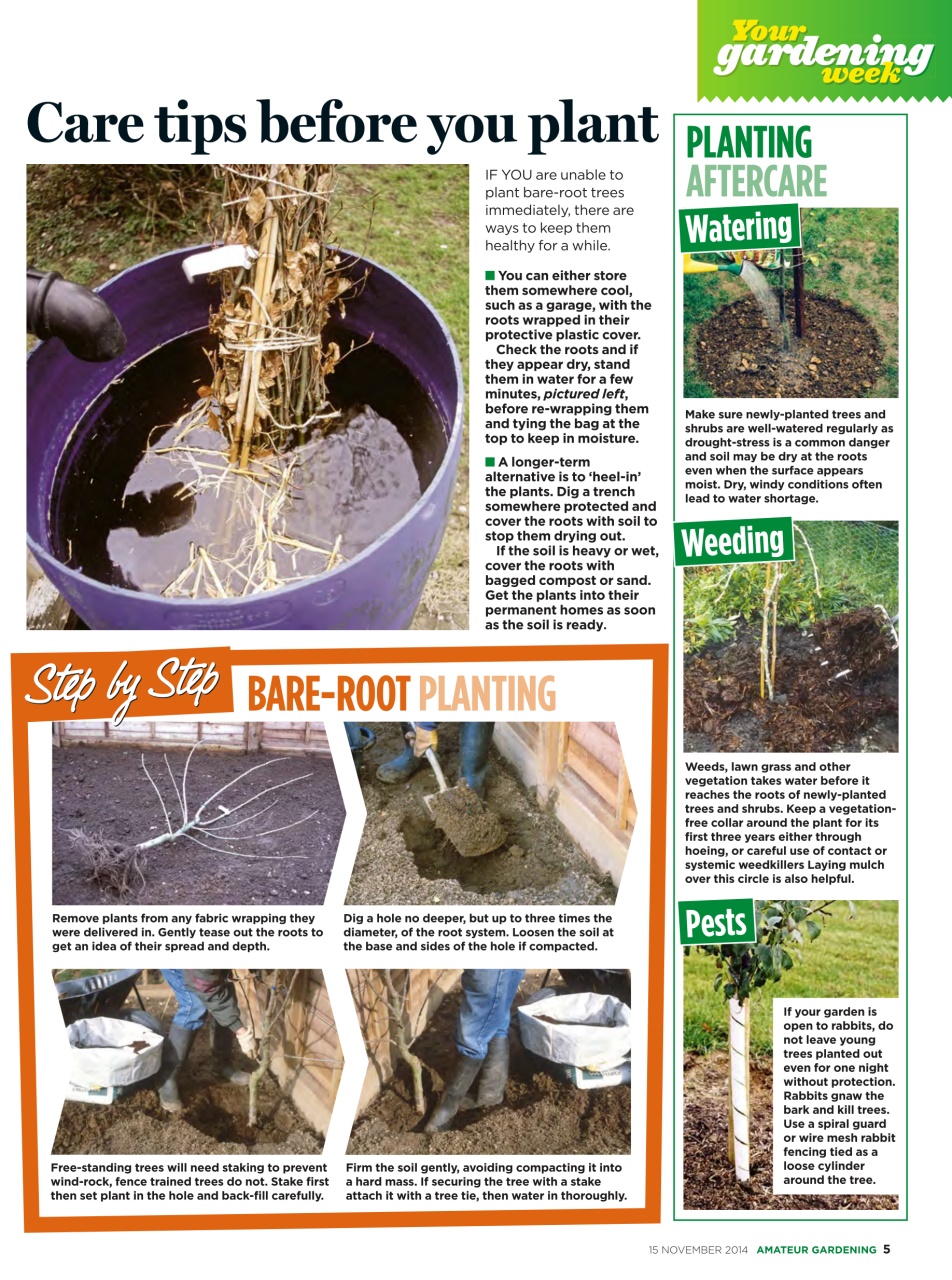 Amateur Gardening Preview Pages