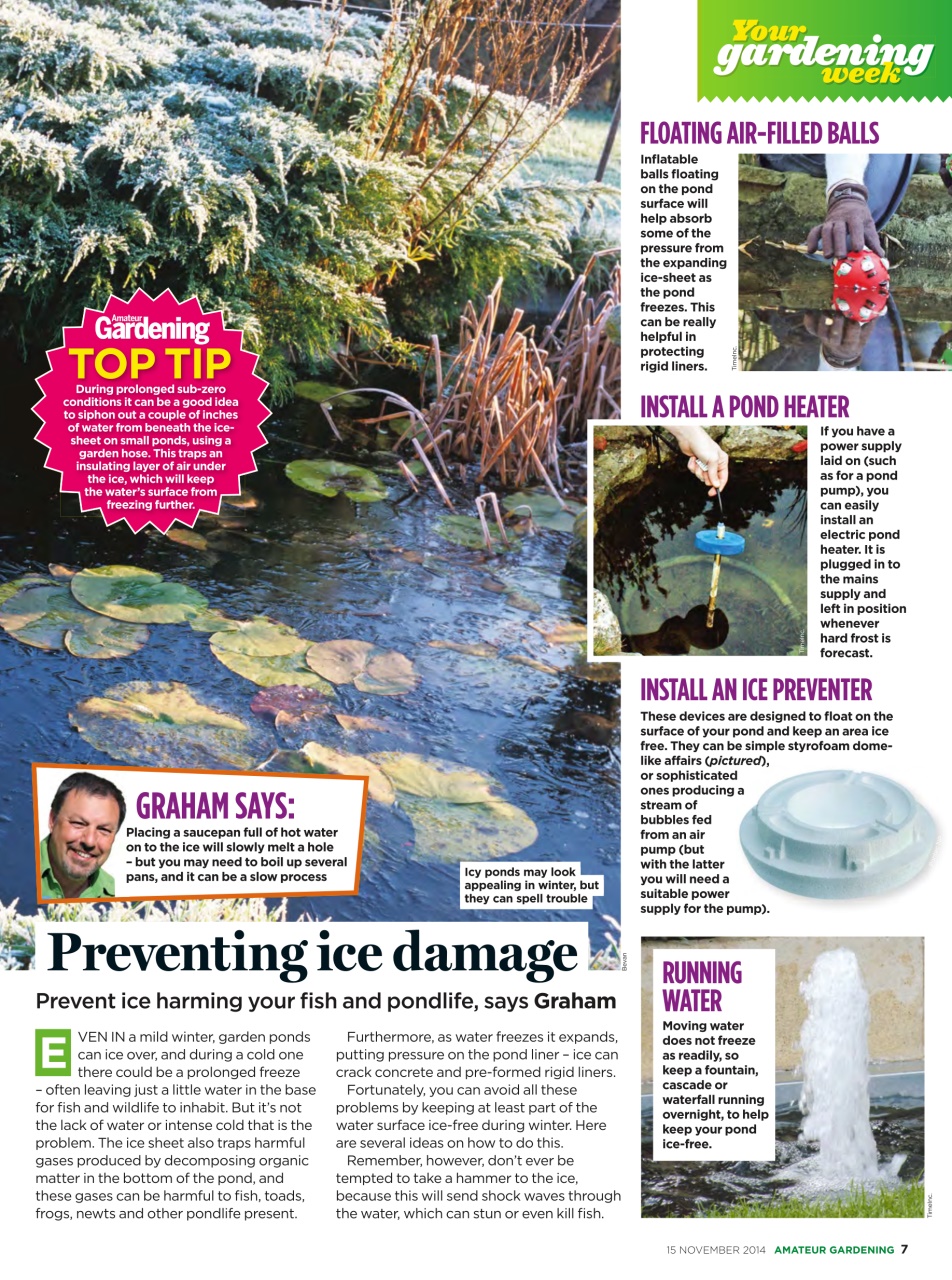 Amateur Gardening Preview Pages
