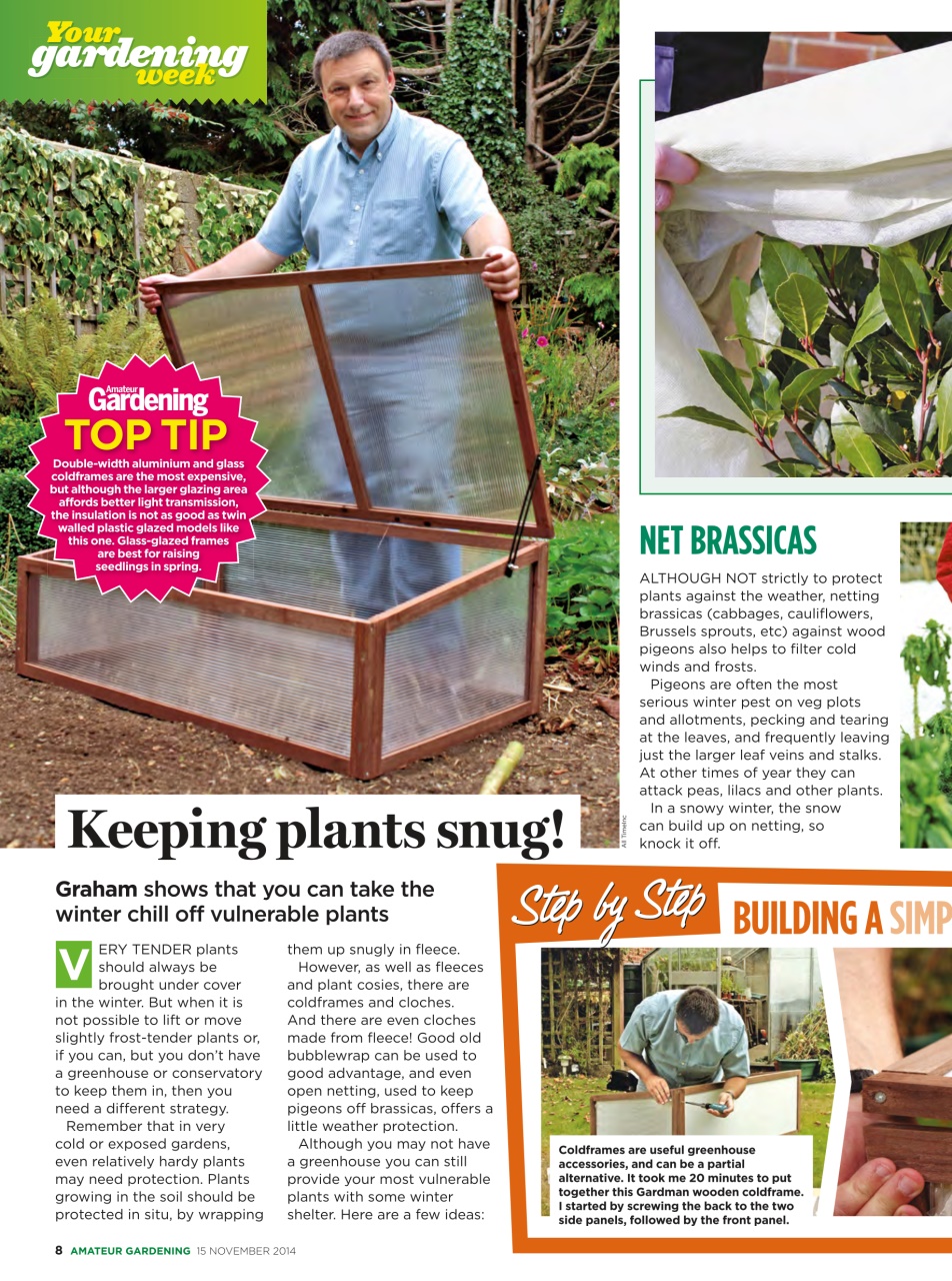 Amateur Gardening Preview Pages