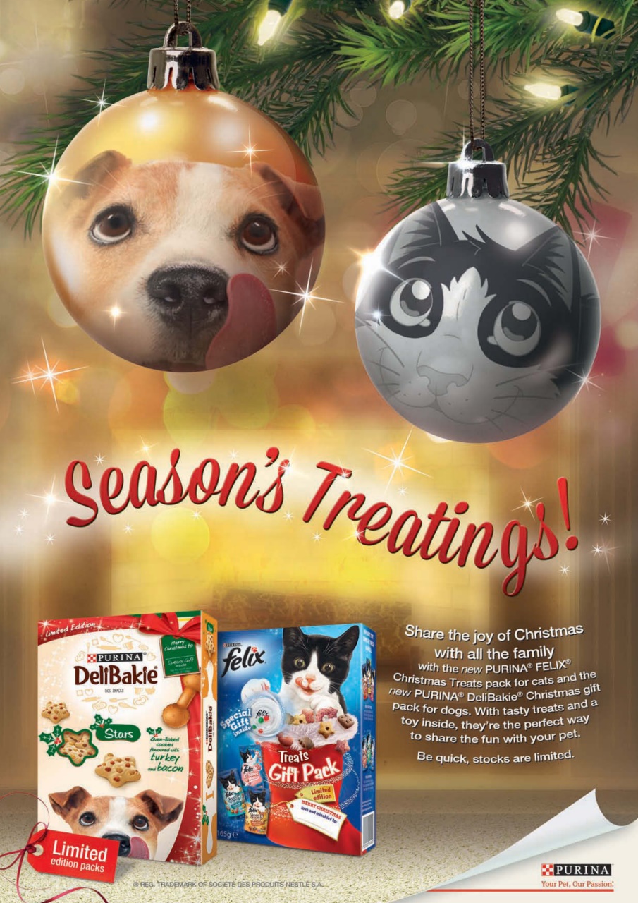 Your Dog Preview Pages