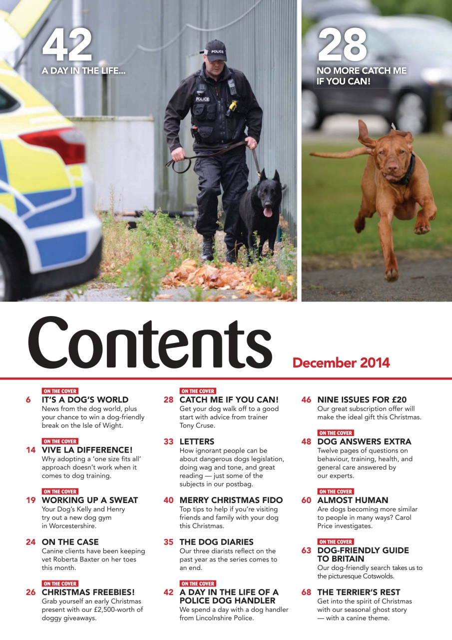 Your Dog Preview Pages