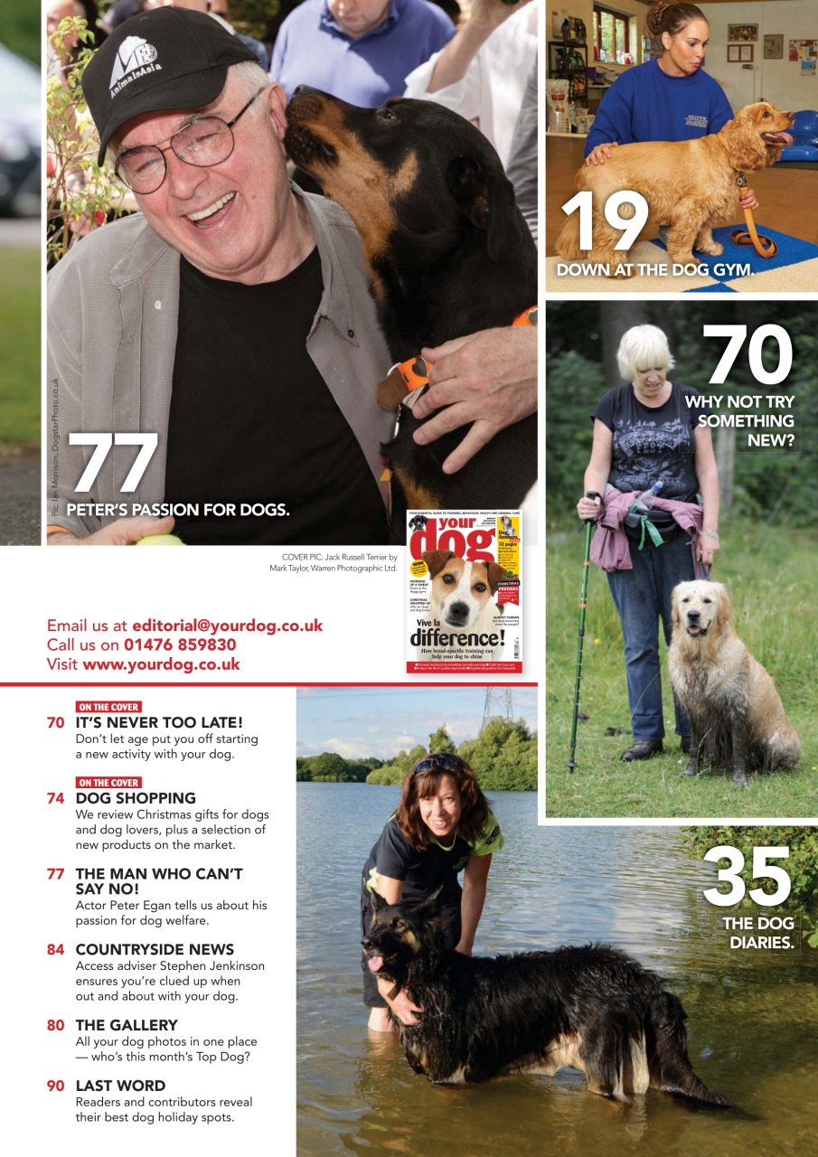 Your Dog Preview Pages