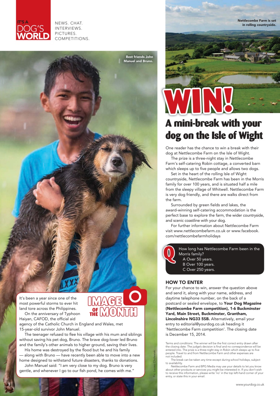 Your Dog Preview Pages