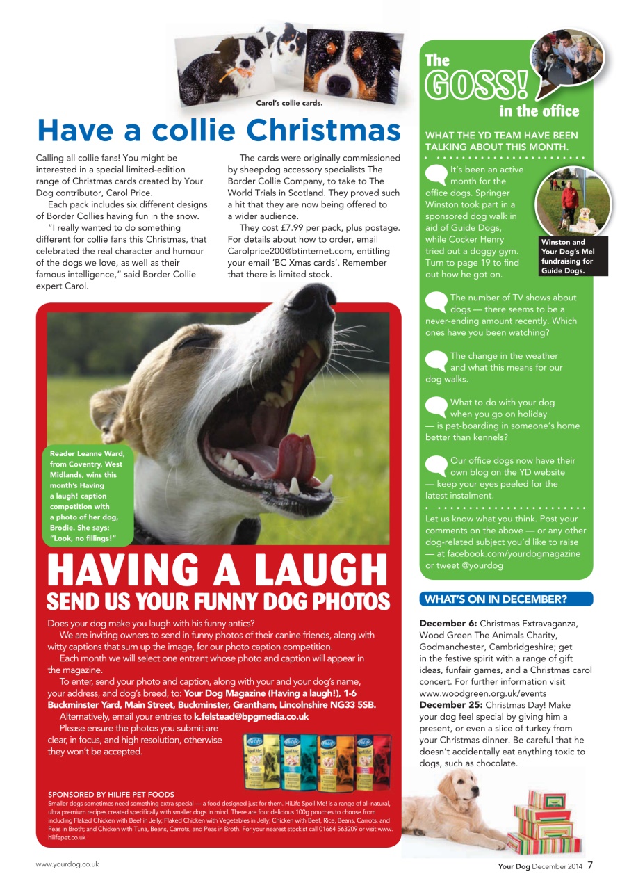 Your Dog Preview Pages