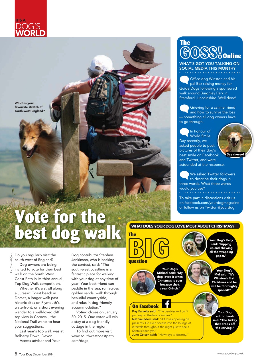 Your Dog Preview Pages