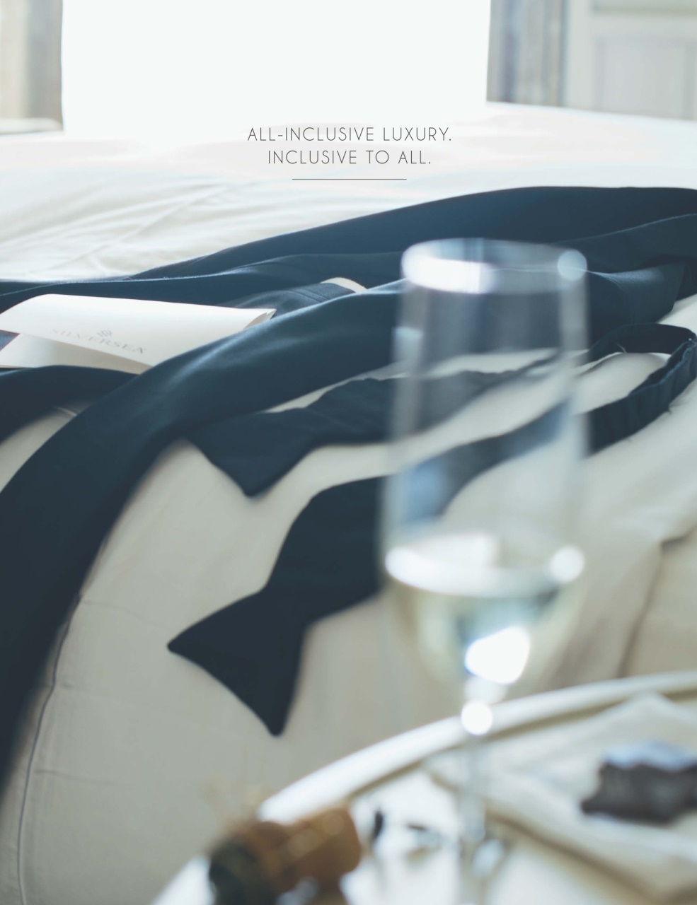 Passport Preview Pages