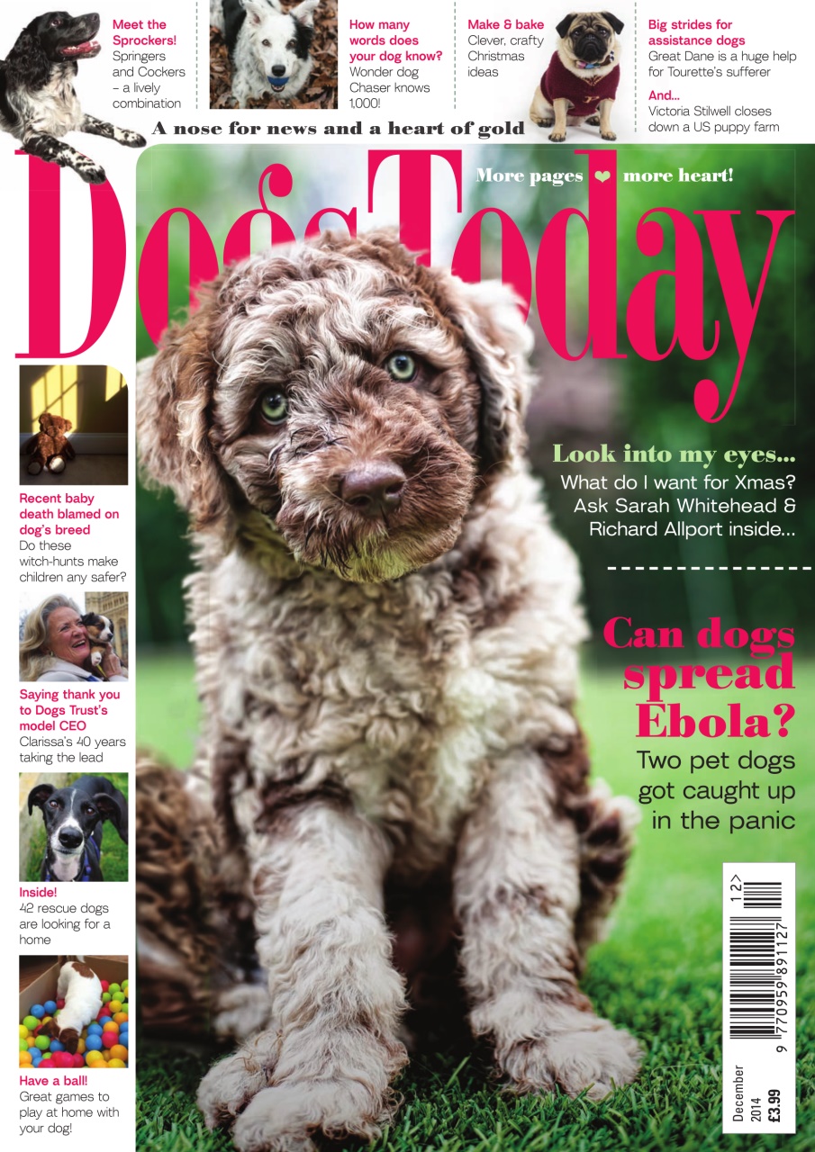 Dogs Today Magazine Preview Pages