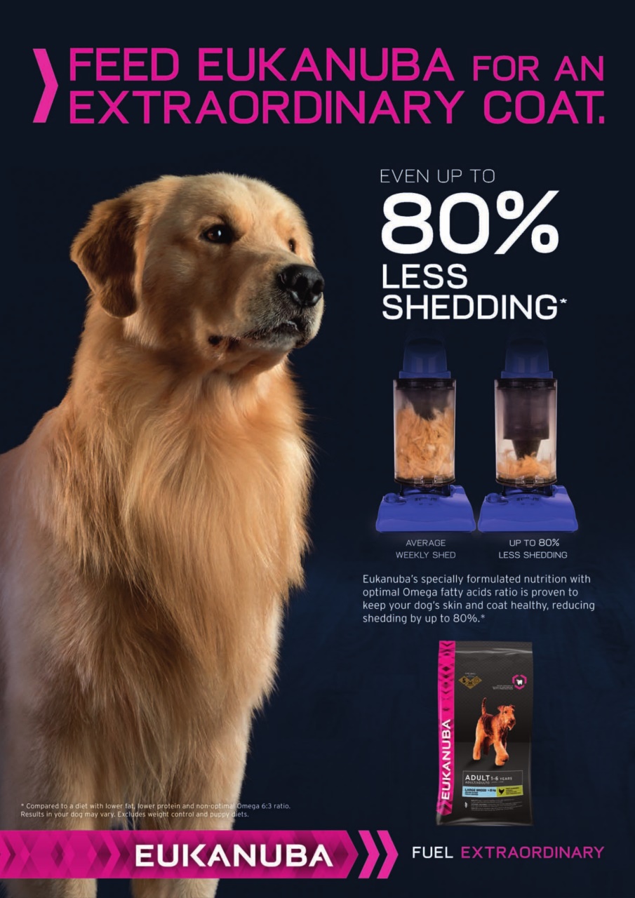 Dogs Today Magazine Preview Pages