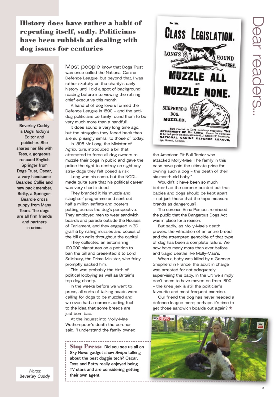 Dogs Today Magazine Preview Pages