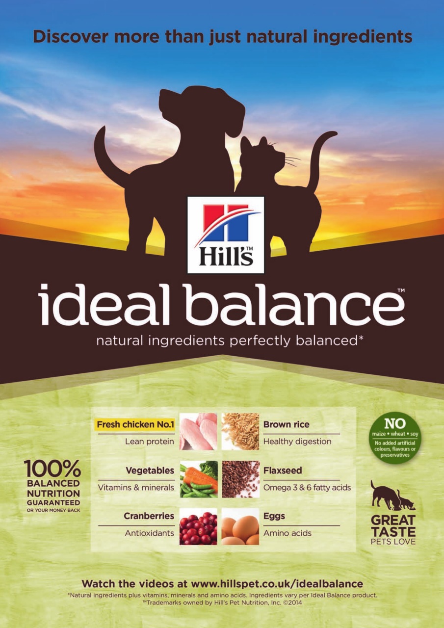 Dogs Today Magazine Preview Pages