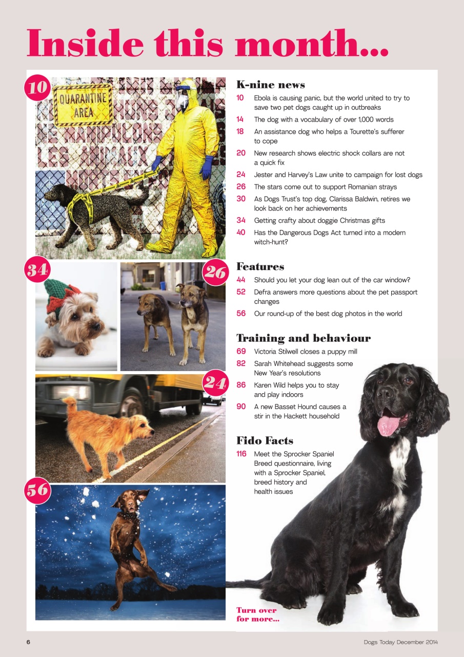 Dogs Today Magazine Preview Pages