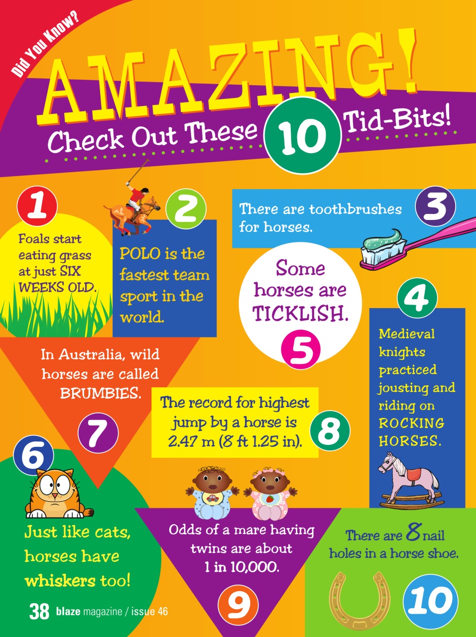 Blaze Magazine For Horse Crazy Kids Preview Pages