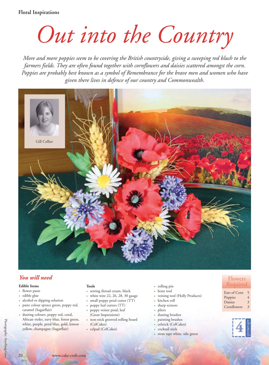 Cake Decoration & Sugarcraft Magazine Preview Pages