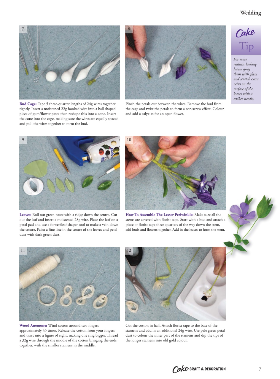 Cake Decoration & Sugarcraft Magazine Preview Pages