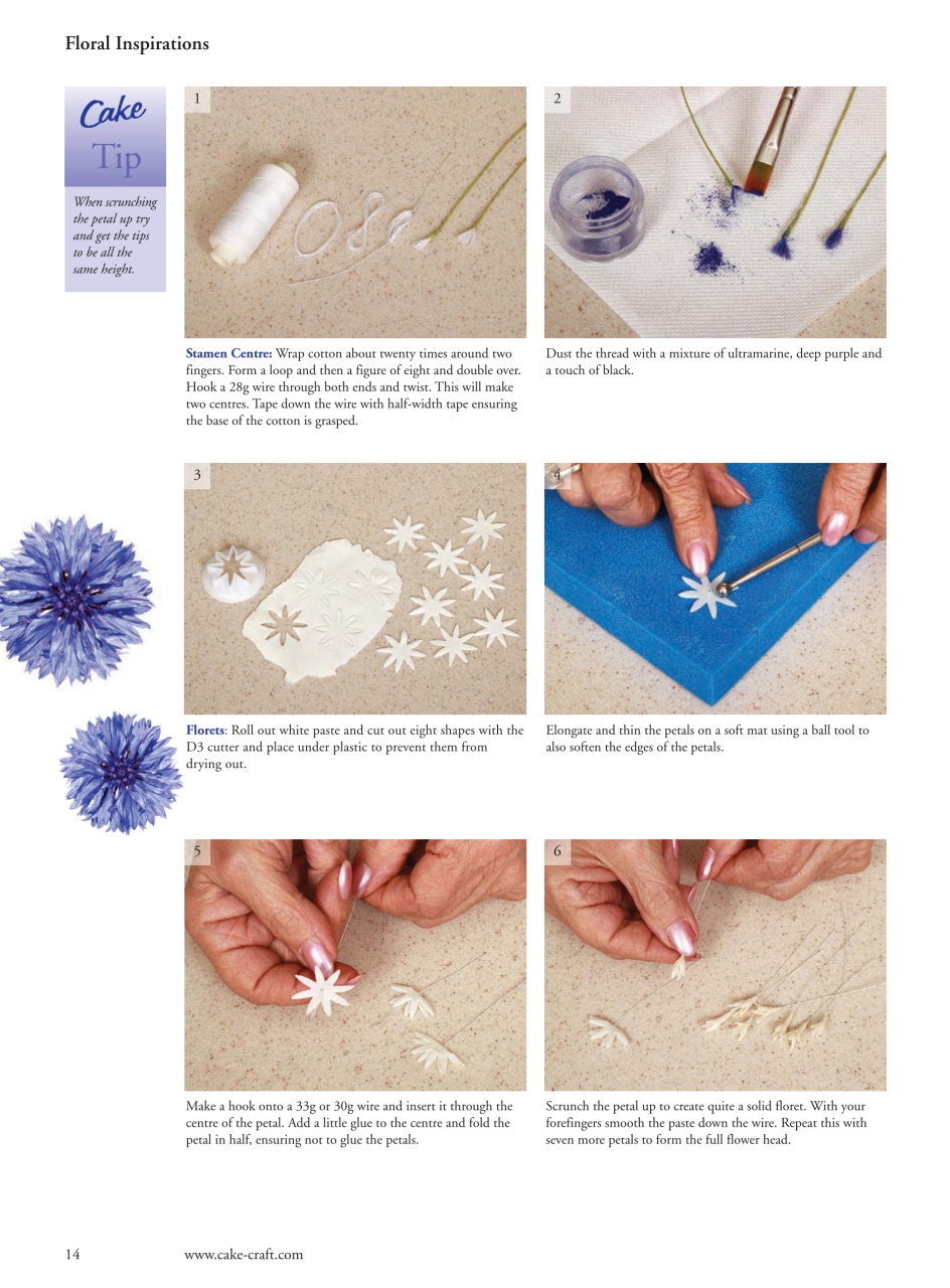 Cake Decoration & Sugarcraft Magazine Preview Pages