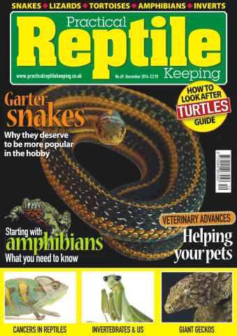 Practical Reptile Keeping issue No.69 Garter Snakes