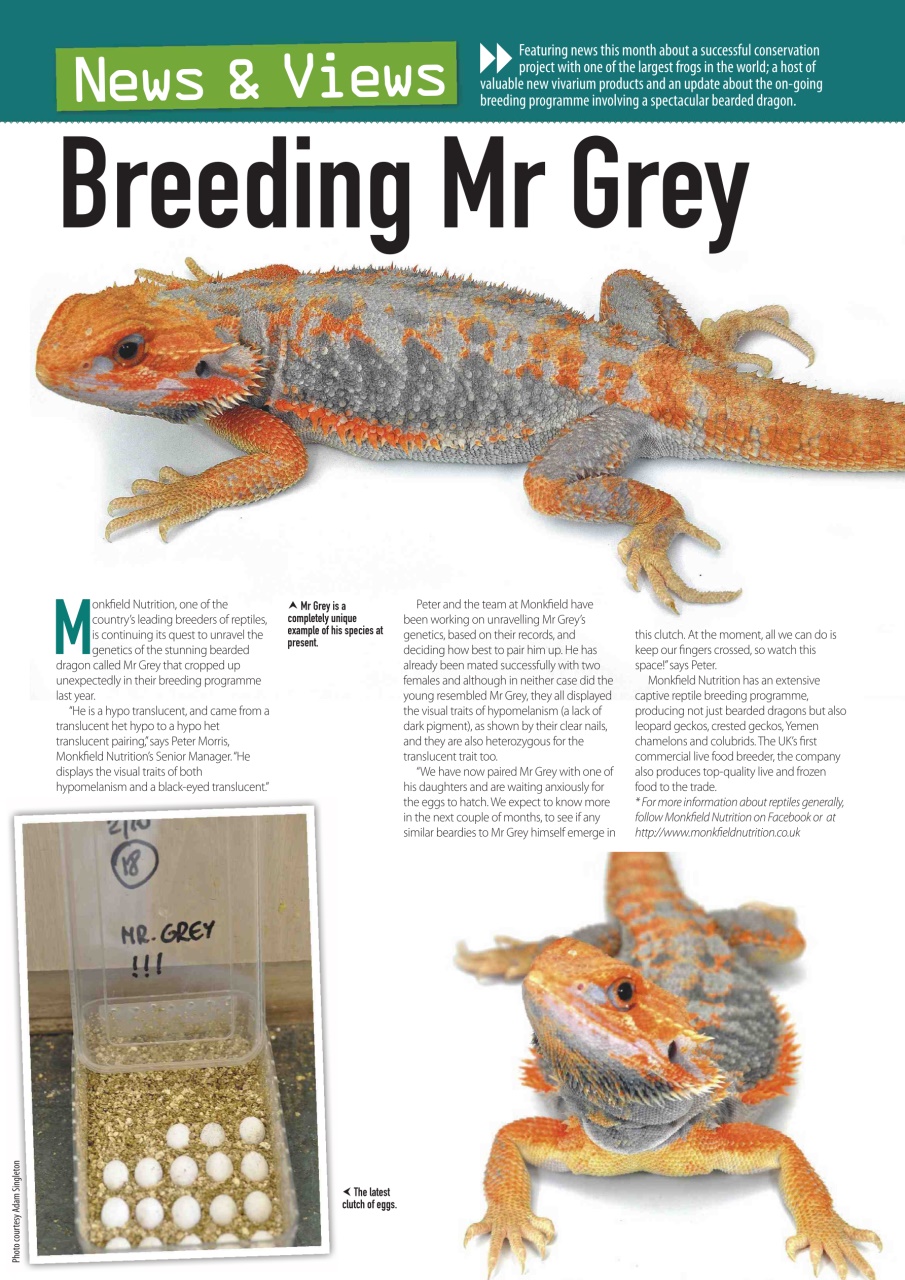 Practical Reptile Keeping Preview Pages