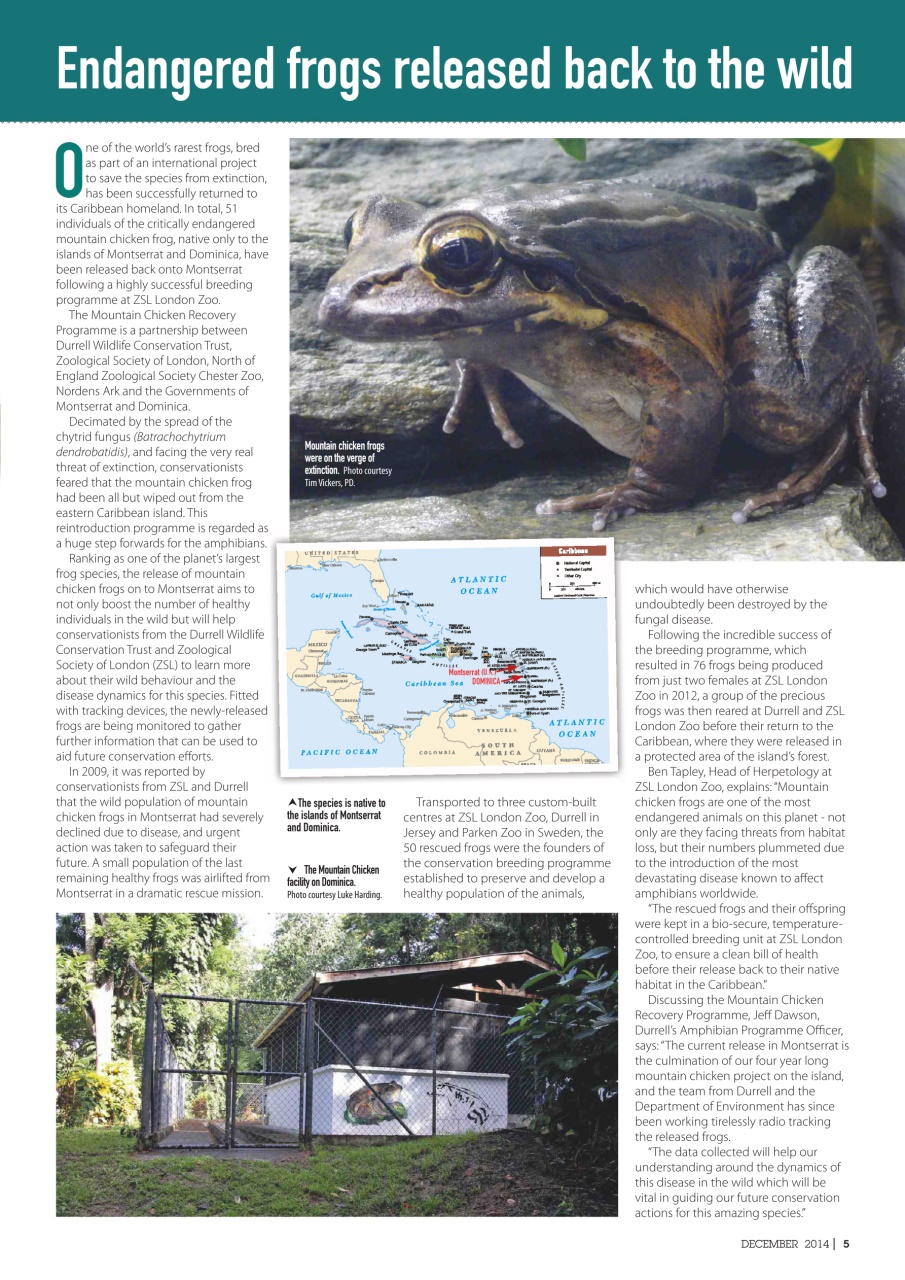 Practical Reptile Keeping Preview Pages