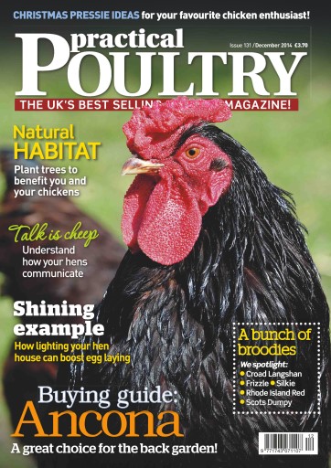 Practical Poultry issue 