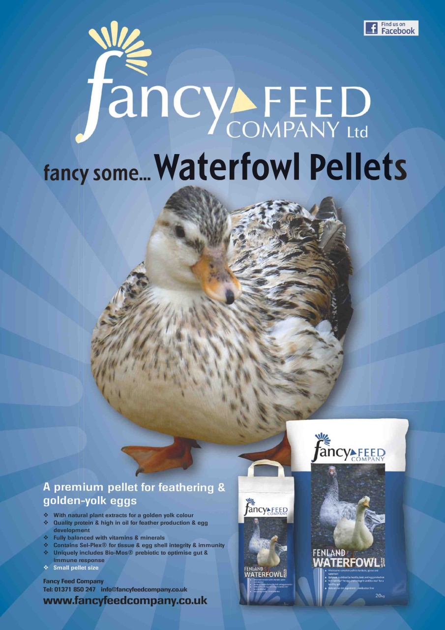 Practical Poultry Preview Pages