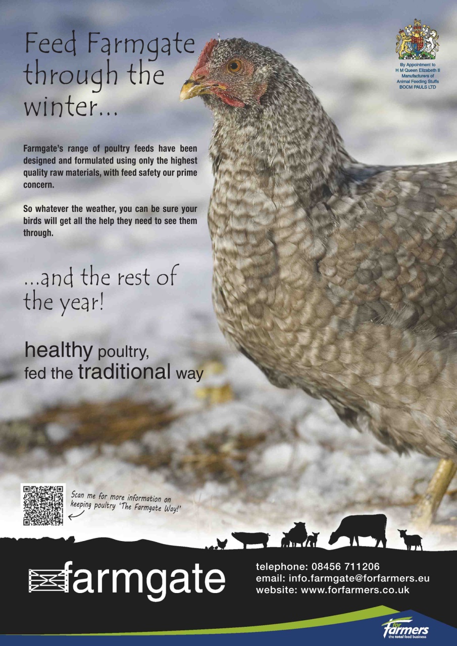 Practical Poultry Preview Pages