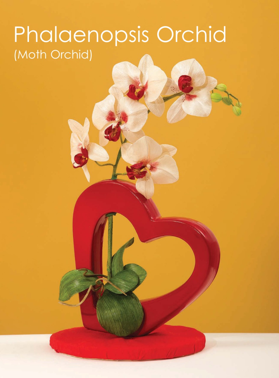 Cake Decoration & Sugarcraft Magazine Preview Pages