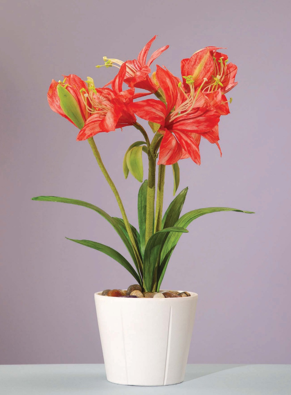 Cake Decoration & Sugarcraft Magazine Preview Pages