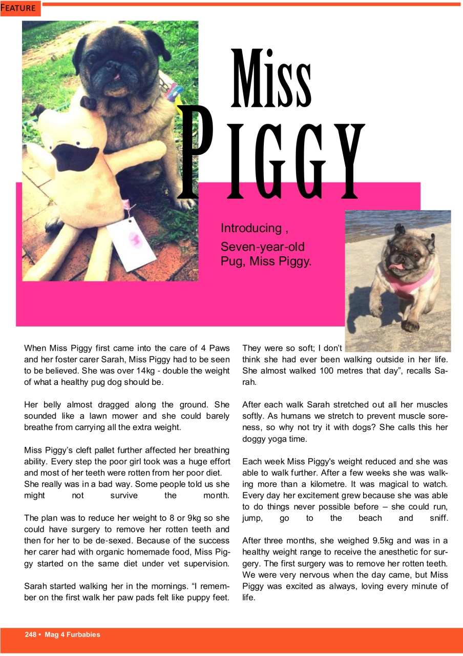 Mag 4 Furbabies Preview Pages