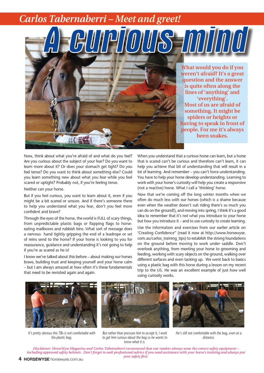 HorseWyse Magazine Preview Pages