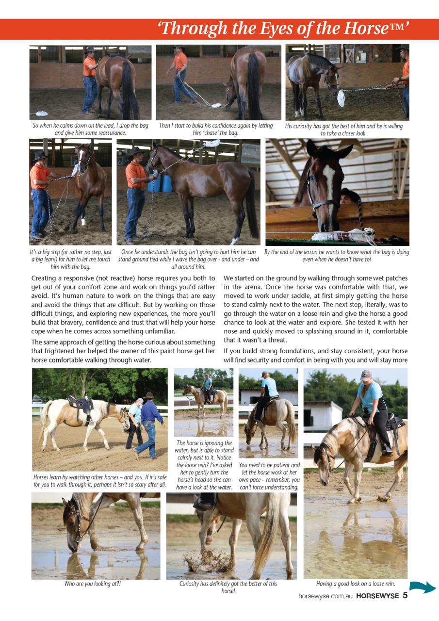 HorseWyse Magazine Preview Pages