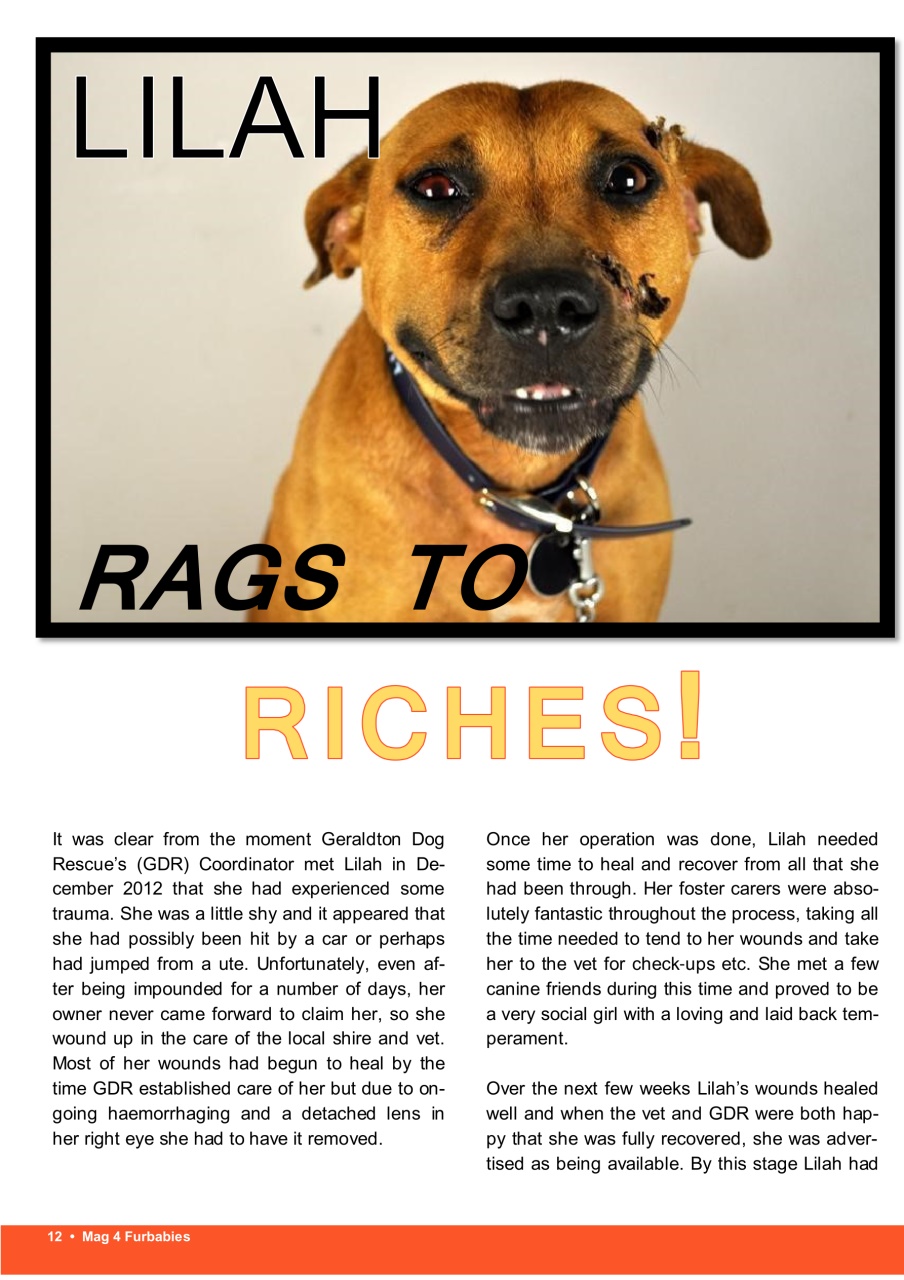 Mag 4 Furbabies Preview Pages