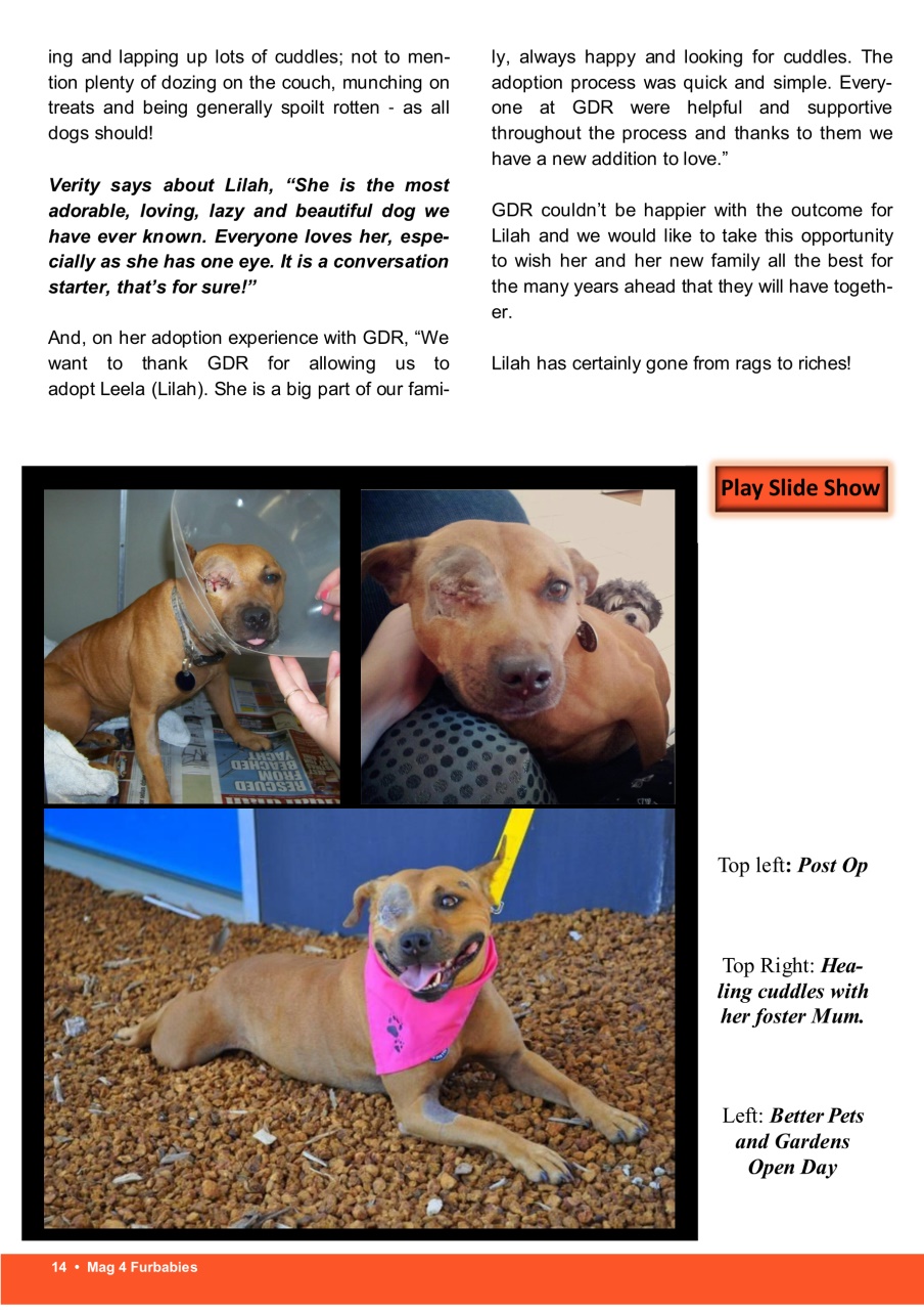 Mag 4 Furbabies Preview Pages