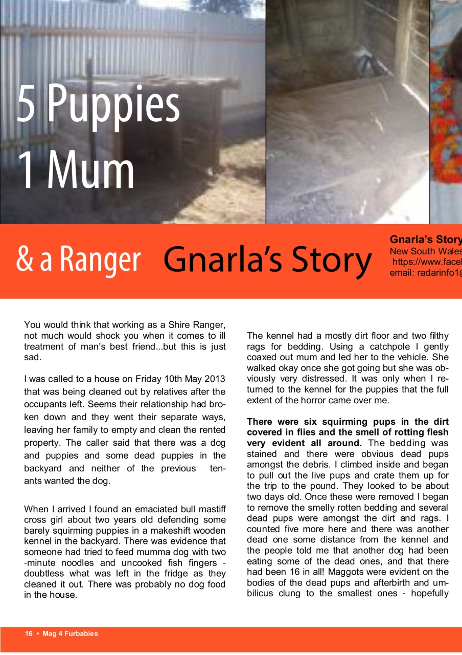 Mag 4 Furbabies Preview Pages