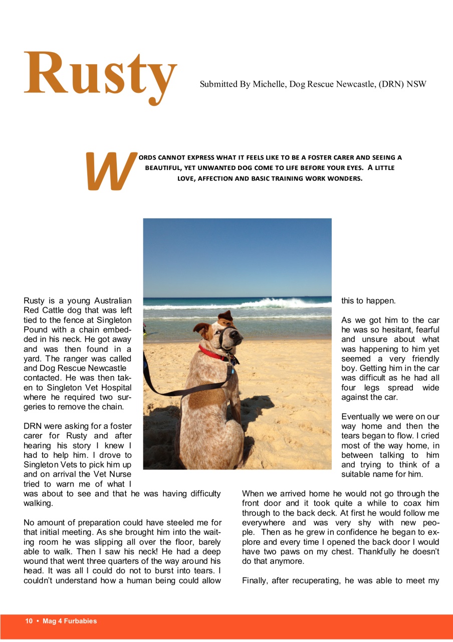 Mag 4 Furbabies Preview Pages