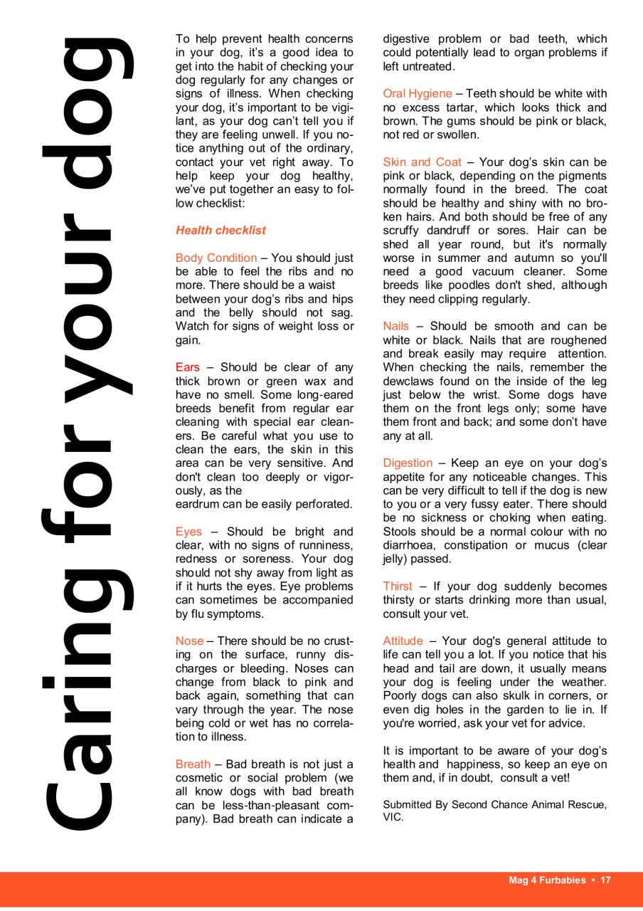 Mag 4 Furbabies Preview Pages