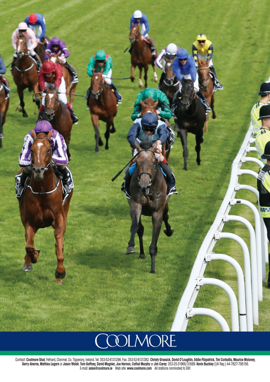 The Owner Breeder Preview Pages