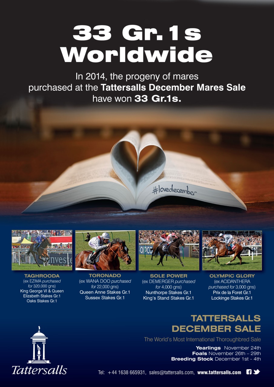 The Owner Breeder Preview Pages