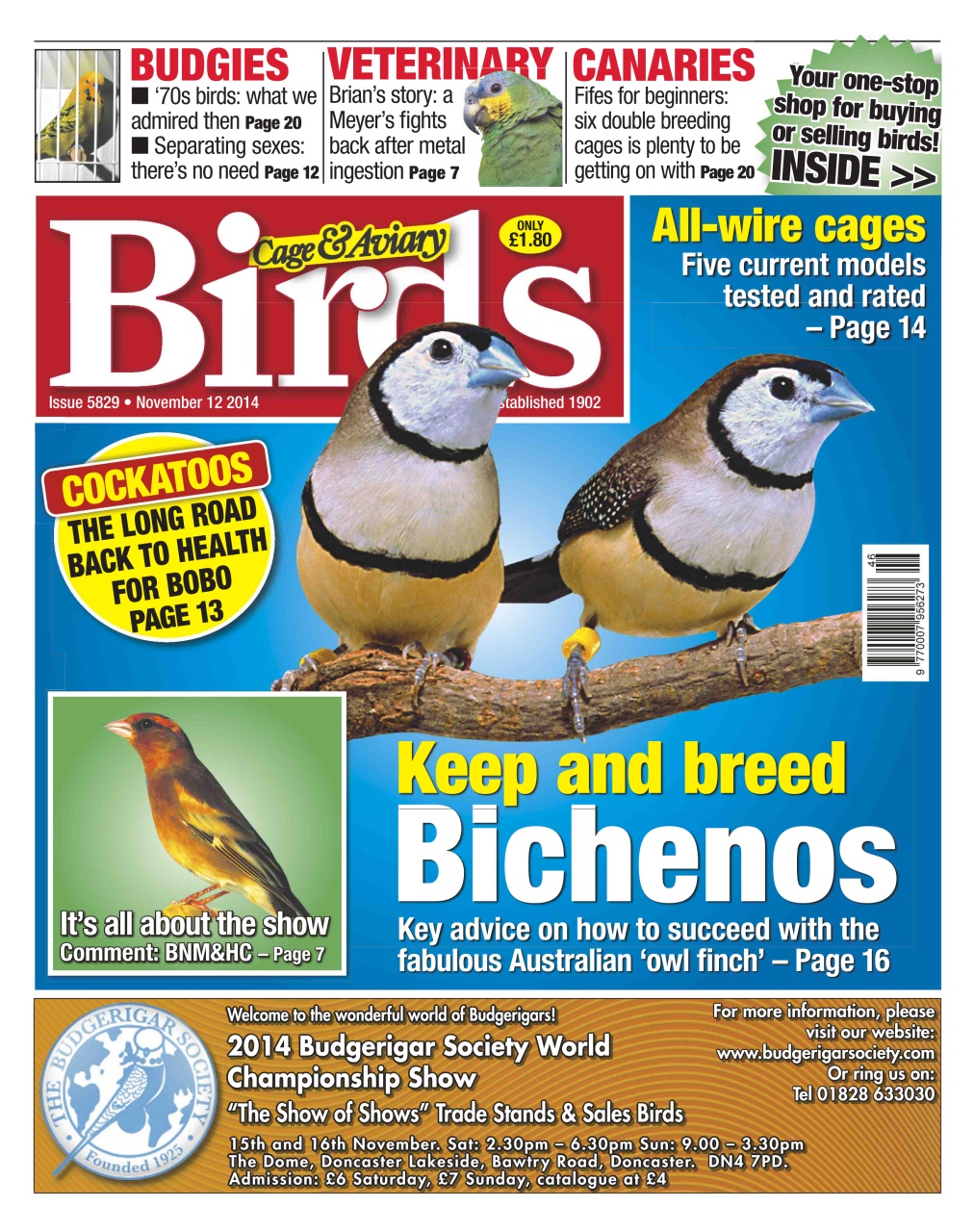 Cage & Aviary Birds Preview Pages