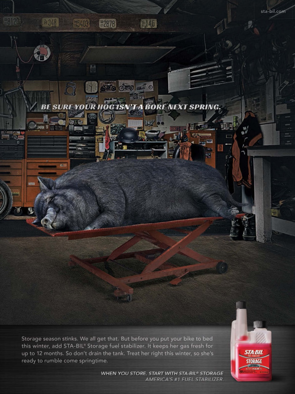 Rider Magazine Preview Pages