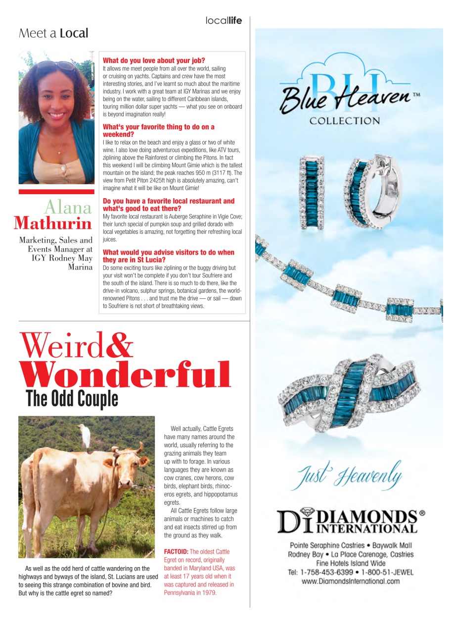 Tropical Traveller Preview Pages