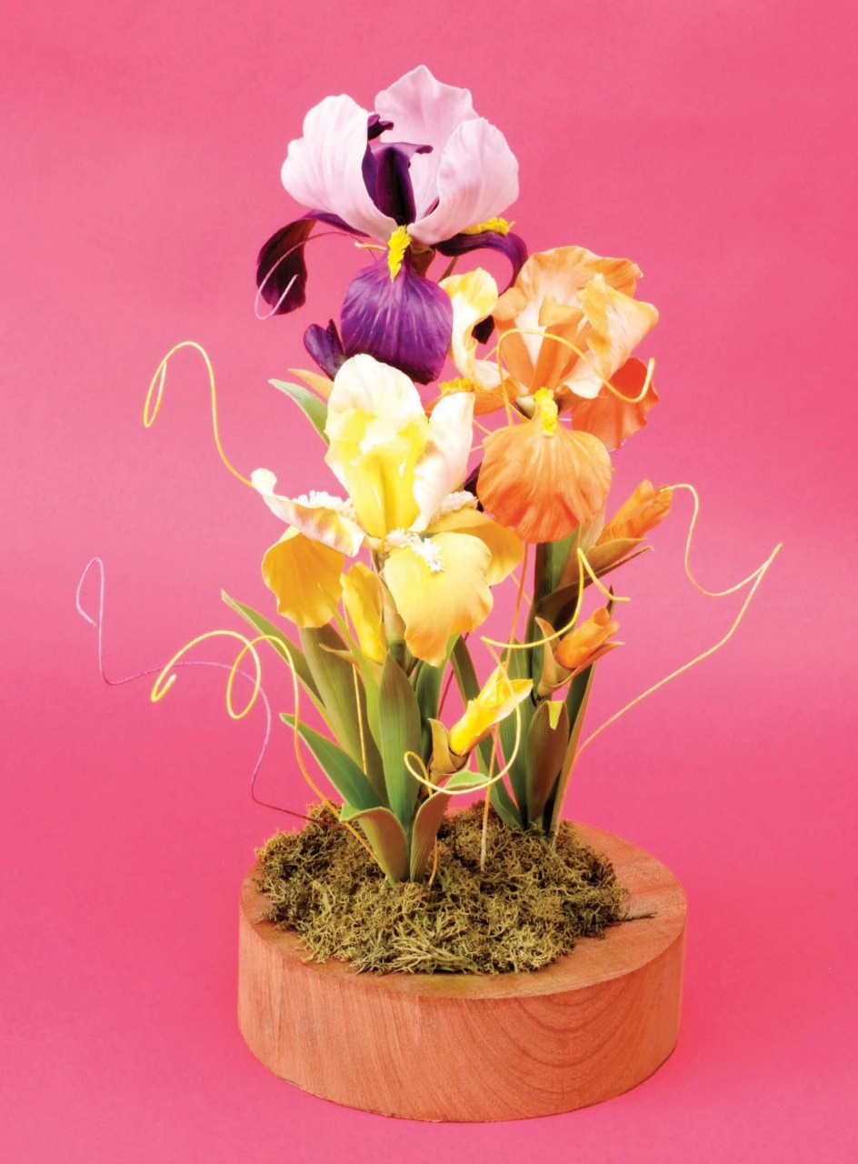 Cake Decoration & Sugarcraft Magazine Preview Pages