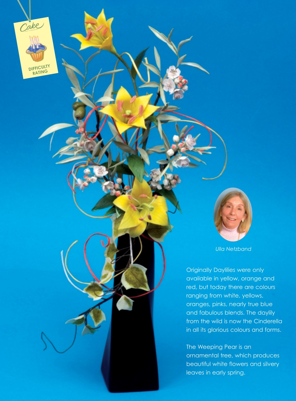 Cake Decoration & Sugarcraft Magazine Preview Pages