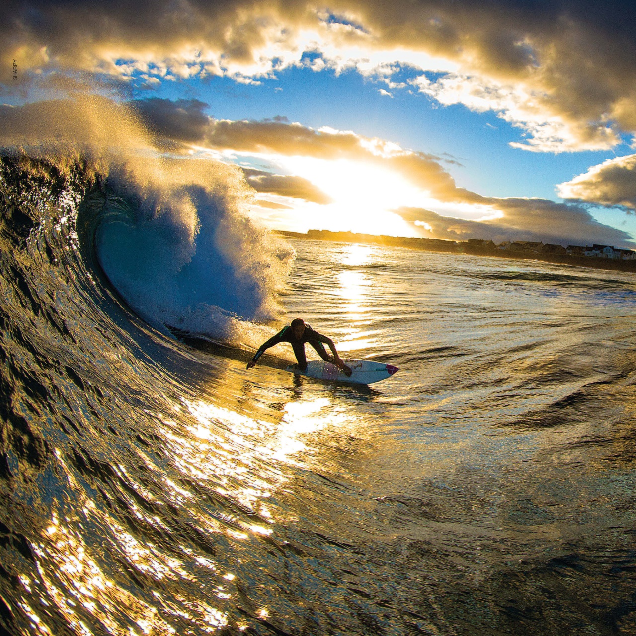 Surfing Books Preview Pages