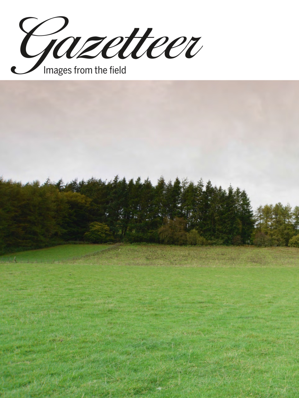 Shooting Gazette Preview Pages