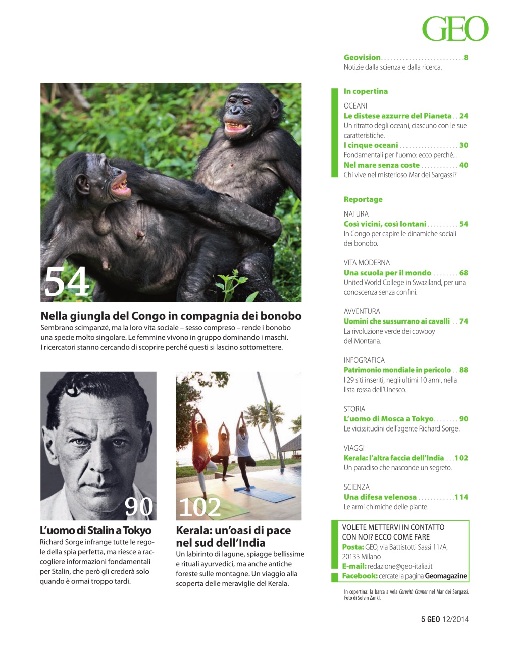 GEO Preview Pages